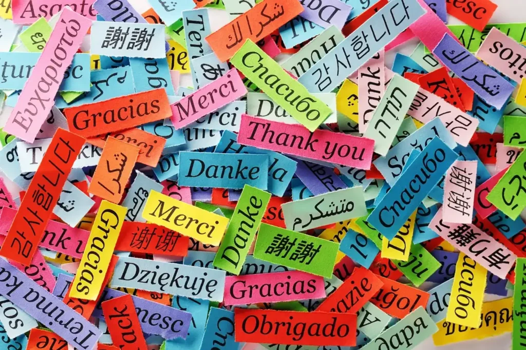 Words Matter: Insights from Camden & Southern Highlands Therapy - Cerebra Counselling Services